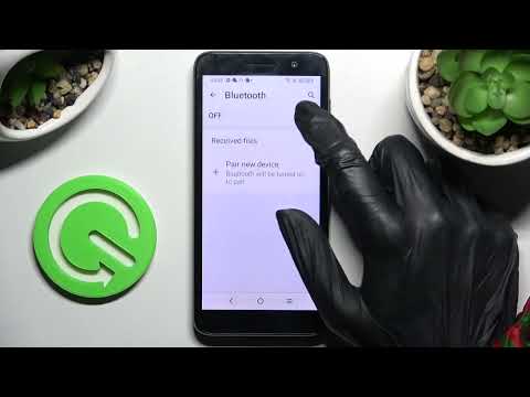 How to Rename ALCATEL 1 (2022) – Change Username