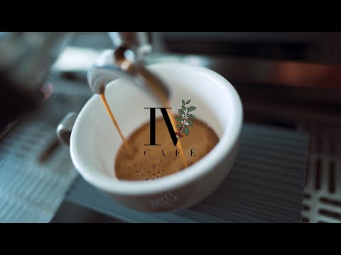 COFFEE B ROLL - Daniel Schiffer Inspired