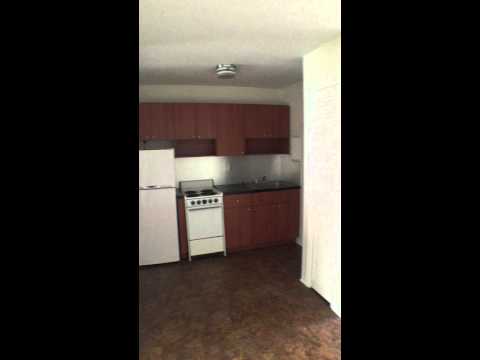 218 Phoenetia - Video 2 of 2