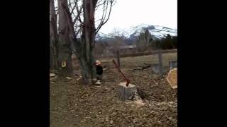 preview picture of video 'Using a Poplar Tree to pound Posts'