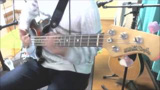 Bass Cover RIZE - SILVER