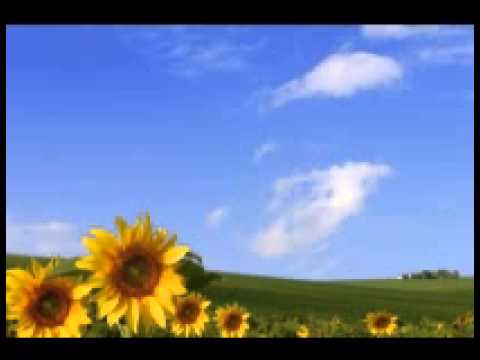 KOPALA SWAG (PERCEIMAN RECORDS)