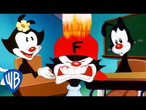Animaniacs | The Warners are Back in School | Classic Cartoon | WB Kids