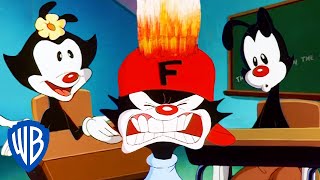 Animaniacs | The Warners are Back in School | Classic Cartoon | WB Kids