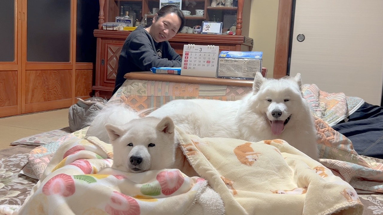 いつでも帰ってきてね。