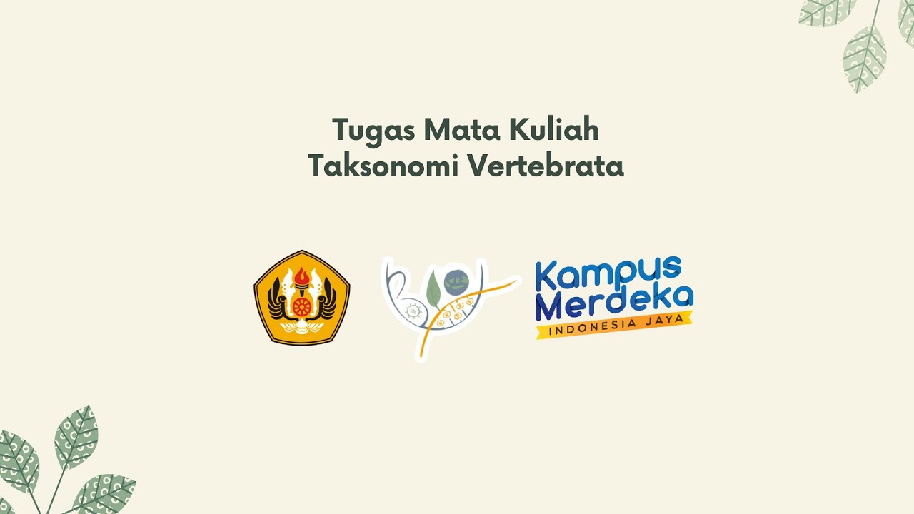 Mengenal Taksidermi Pada Reptil
