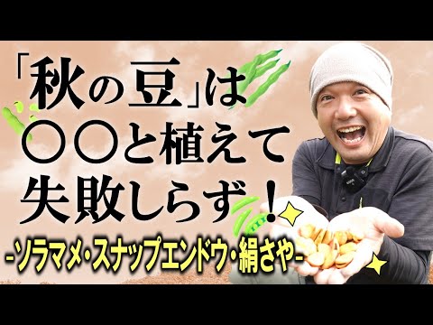 豆はいつ、どのように蒔くのですか？いつ植えるのですか？どの品種を選ぶべきですか？おすすめのヒント + サポートビデオ  庭園