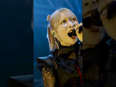 ♪ fall into sky Live ver #Ringwanderung  #idol #ライブ