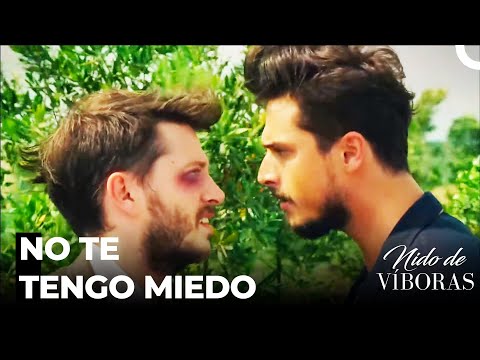 Beşir Le Desafia A Ejder - Nido De Víboras Capitulo 7 (Dobladas en Español)