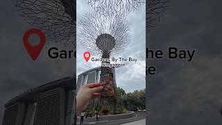 Opening #pokemoncards at #gardensbythebay in #singapore ! #pokemon #pokemontcg