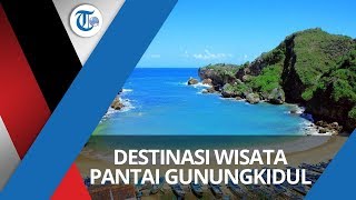 Pantai Ngrenehan, Destinasi Wisata Pantai yang Terletak di Saptosari, Gunungkidul, Yogyakarta