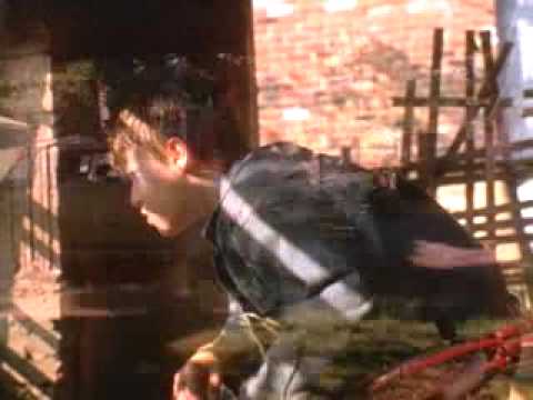 Joe the King Trailer