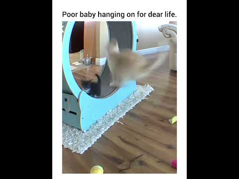 He did that on purpose!