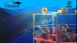 DIA 3 Expo Tiburon138