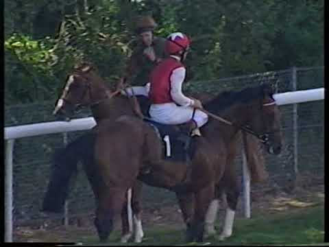 1999 Richmond Stakes Bachir