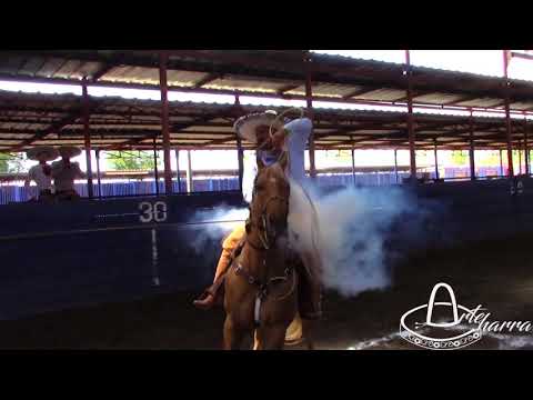 Mejores piales del 5to Aniversario Rancho Hennessy