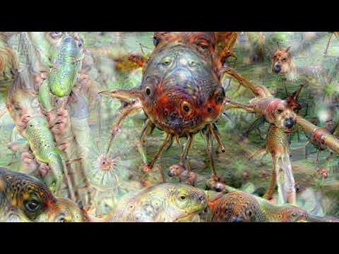Trippy Insects | Google Deep Dream AI
