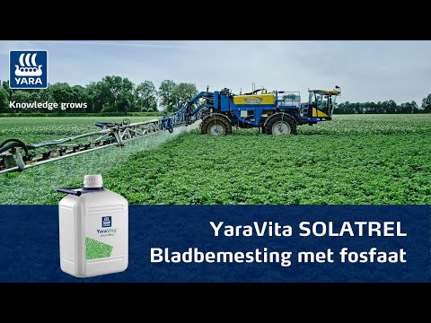 , title : 'Bladbemesting met fosfaat in aardappelen | YaraVita SOLATREL'