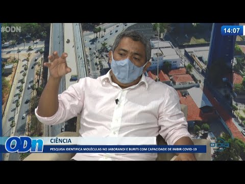 Pesquisa identifica moléculas do jaborandi e buriti capazes de inibir Covid-19 31 05 2021