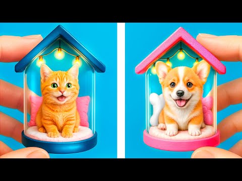We're building a tiny house for pets! How to properly care for your pets!