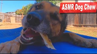 Download lagu Edu Eating a Dehydrated Pig Ear Dog Chew ASMR mp3 Download lagu Edu Eating a Dehydrated Pig Ear Dog Chew ASMR mp3
