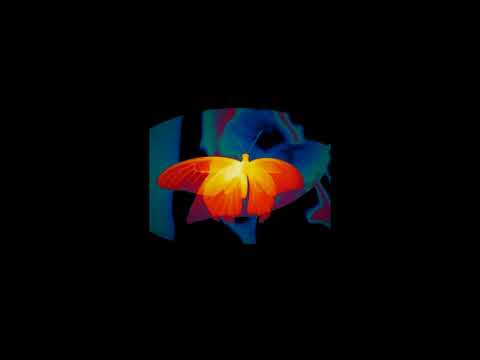 [FREE] Damso x Nekfeu x Népal Type Beat - Eveil