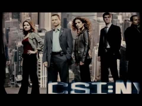 "we have a helluva lotta fun" | cast (csi:ny)
