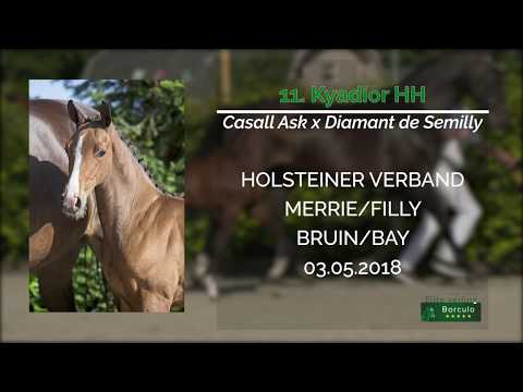 11 Kyadior HH (Casall Ask x Diamant de Semilly)