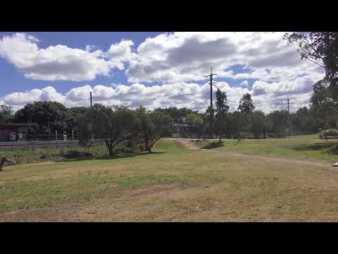 ParkSydney tram 2123 at Hawthorne