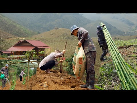 Tam Lan builds a new farm Ep.2 | Use bamboo to make trellises, plant chayote, luffa and squash