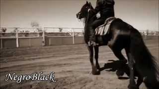 El Komander -El Elegante (Video) ·Estudio· 2015