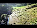 Bali Indonesia 4K Ambience Gamelan Music By Balinese Orchestra Ambient Worlds Relaxation