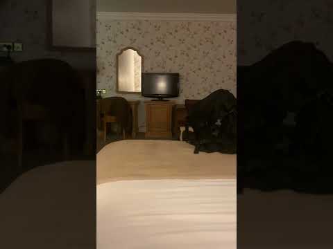 Greville Arms Hotel - Guest Experience