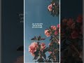 Opposite Day By Megan Thee Stallion Slowed And Reverb Version