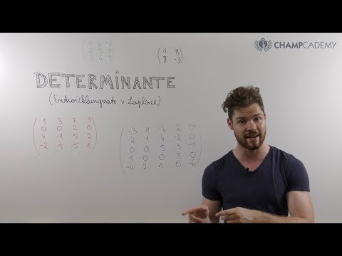 Determinante berechnen (Entwicklungssatz von Laplace)
