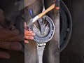 Horse In Pain Gets Help ️