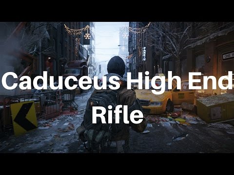 The Division Caduceus (High End) Rifle