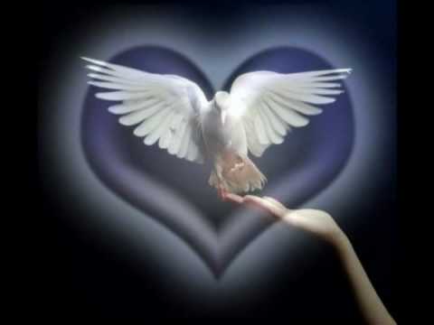 Madre dolcissima - Gen Rosso