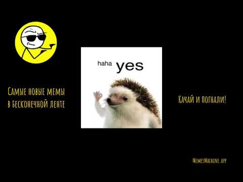 MemesMachine