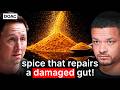 The Poo Doctor This Cheap Spice Fixes A Damaged Gut