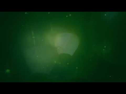 Back home (Trailer)