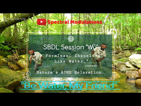 SBDL Session WU: Be Like Water | Nature ASMR Stream for Meditation, Calm & Deep Relaxation