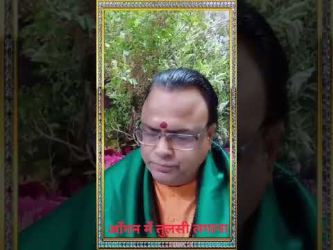 आँगन में तुलसी लगाना