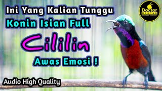 Download lagu AMPUH! KONIN GACOR FULL ISIAN TEMBAKAN CILILIN MEWAH COCOK UNTUK MASTERAN KOLIBRI NINJA BAHAN PASTOL mp3