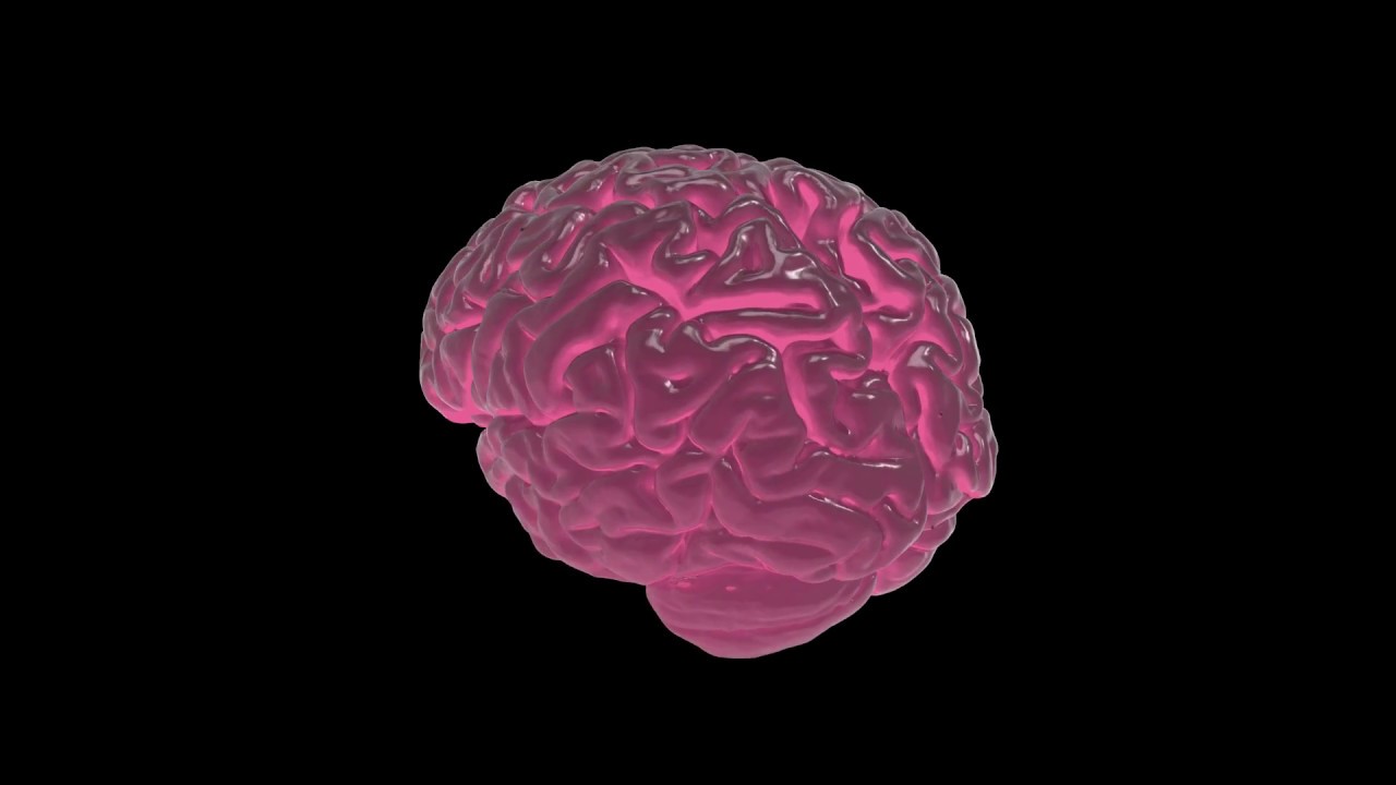Neon glowing brain (turntable animation)