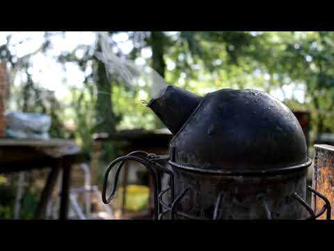 Stimming - The Hyve  (Official Video)