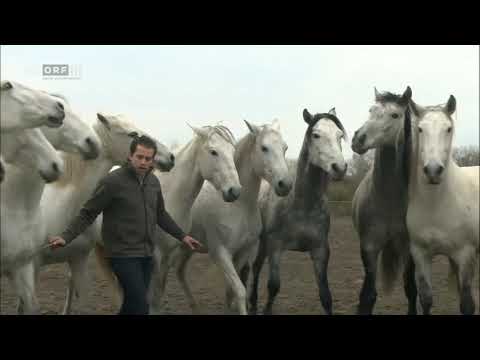 Pferdemenschen ORF Expeditionen