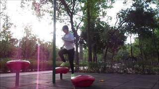 踏步上落 20/10 (9min)