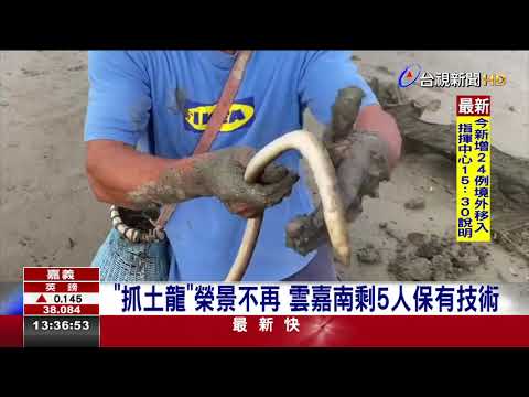 土龍是什麼