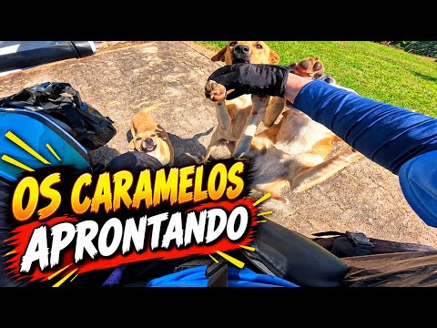 Indo a Osório pelo interior 